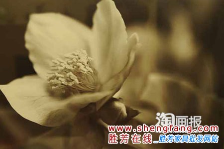 49平小戶：網(wǎng)購省出新家園
