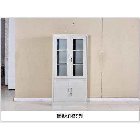 勝芳文件柜批發(fā) 書(shū)柜 展示柜 收納柜 儲(chǔ)物柜 資料柜 置物柜 鐵皮文件柜 書(shū)房家具 辦公家具 馳創(chuàng)家具