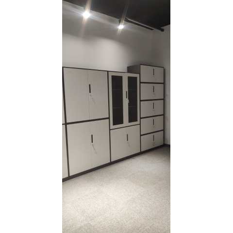 勝芳文件柜批發(fā) 書柜 展示柜 收納柜 儲(chǔ)物柜 資料柜 置物柜 鐵皮文件柜 書房家具 辦公家具馳創(chuàng)家具