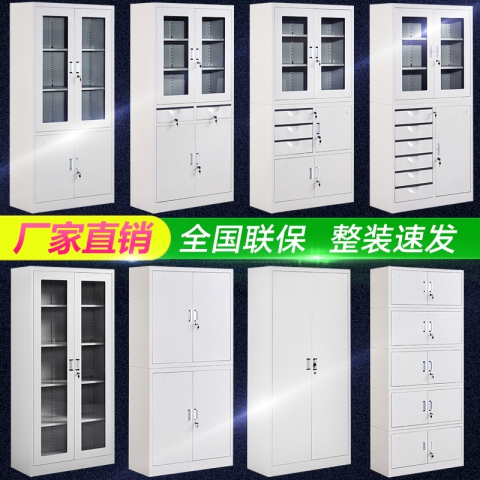 勝芳文件柜批發(fā) 書(shū)柜 展示柜 收納柜 儲(chǔ)物柜 資料柜 置物柜 鐵皮文件柜 書(shū)房家具 辦公家具馳創(chuàng)家具