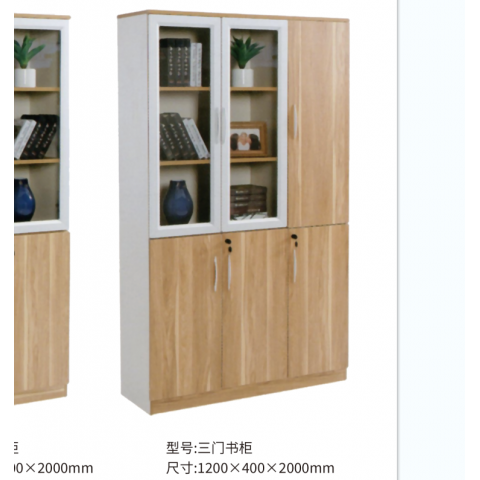 勝芳文件柜批發(fā) 書柜 展示柜 收納柜 儲(chǔ)物柜 資料柜 置物柜 書房家具 辦公家具 泰瑞家居
