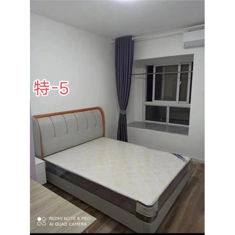 勝芳床鋪批發(fā) 軟床 貓爪皮床床 公寓床  簡(jiǎn)約床 北歐輕奢軟包床 出租房 雙人床 臥室家具 小戶(hù)型家具 公寓家具  澤宇家具