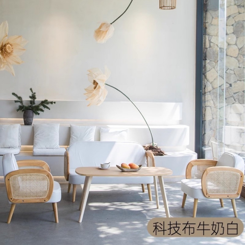 勝芳沙發(fā)批發(fā) 沙發(fā)椅批發(fā) 懶人沙發(fā) 洽談沙發(fā) 沙發(fā)椅 扶手椅 會客沙發(fā) 休閑沙發(fā) 嘉瑞邦家具