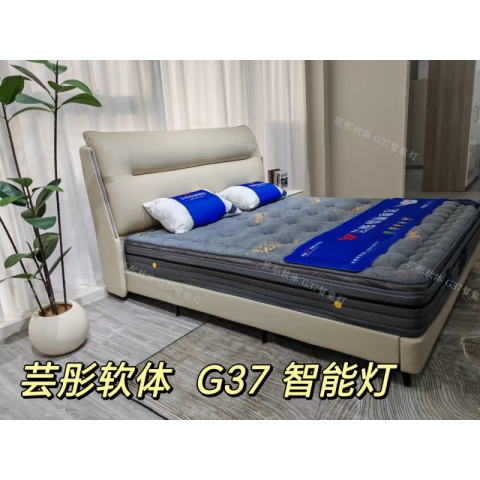 勝芳床鋪批發(fā) 雙人床 軟床 現(xiàn)代簡約軟床 北歐輕奢軟床 臥室家具 小戶型家具 高檔床 高端床 宇鑫家具